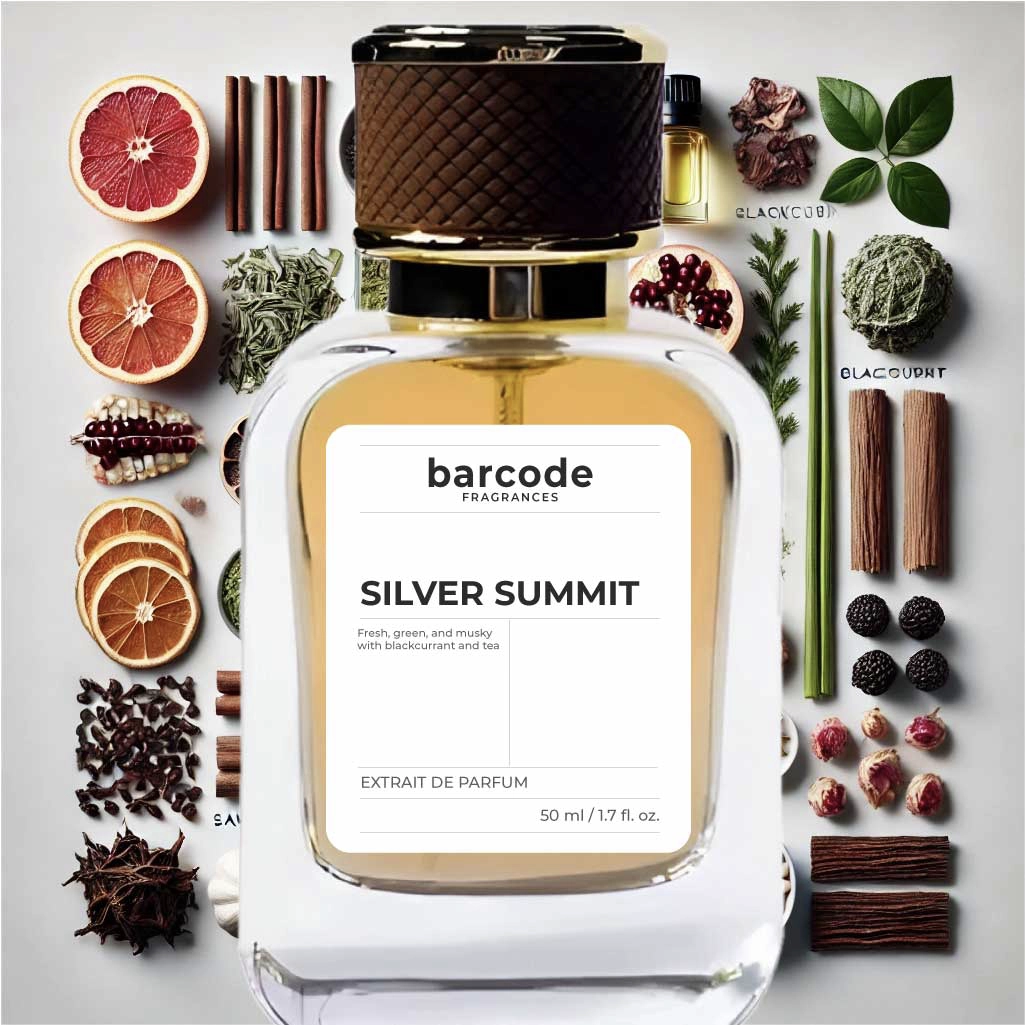 Silver Summit - Image 3